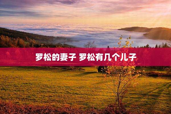 罗松的妻子 罗松有几个儿子