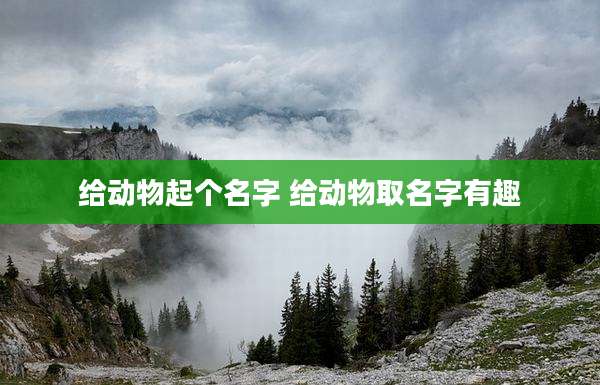 给动物起个名字 给动物取名字有趣