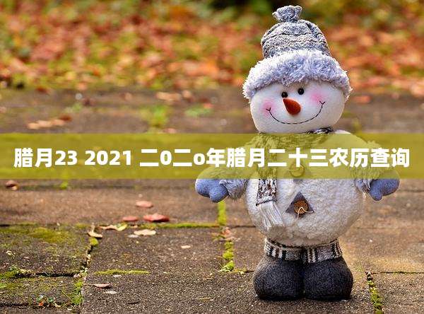 腊月23 2021 二0二o年腊月二十三农历查询