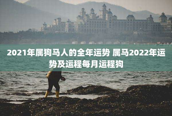 2021年属狗马人的全年运势 属马2022年运势及运程每月运程狗