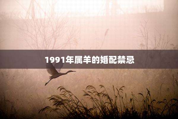 1991年属羊的婚配禁忌