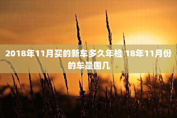 2018年11月买的新车多久年检 18年11月份的车是国几