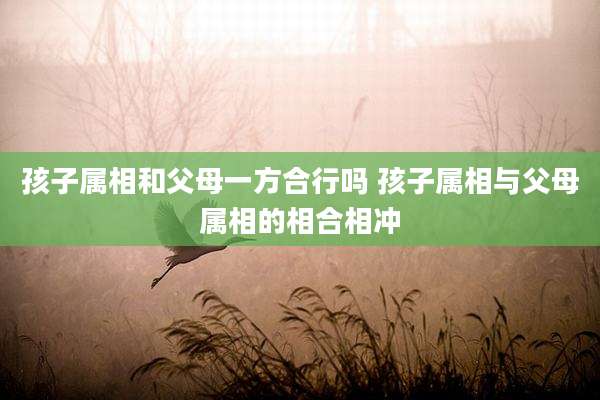 孩子属相和父母一方合行吗 孩子属相与父母属相的相合相冲