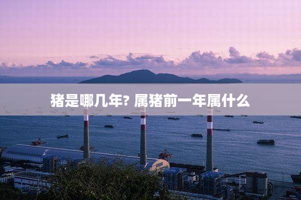 猪是哪几年? 属猪前一年属什么