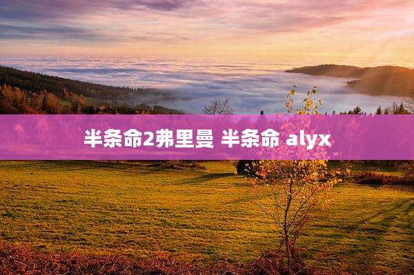 半条命2弗里曼 半条命 alyx