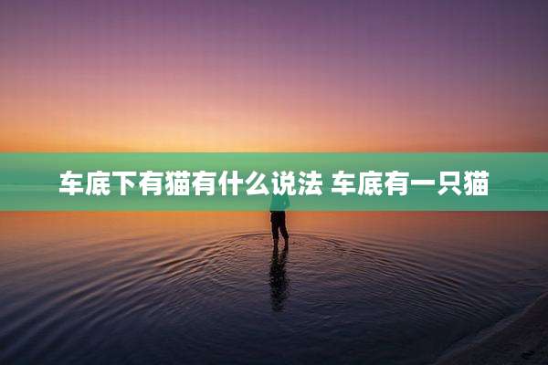 车底下有猫有什么说法 车底有一只猫