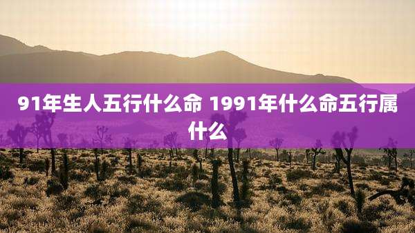 91年生人五行什么命 1991年什么命五行属什么
