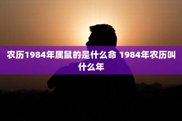 农历1984年属鼠的是什么命 1984年农历叫什么年