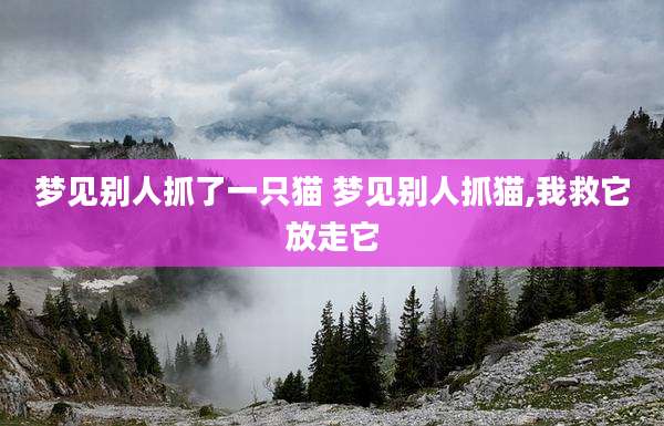 梦见别人抓了一只猫 梦见别人抓猫,我救它放走它