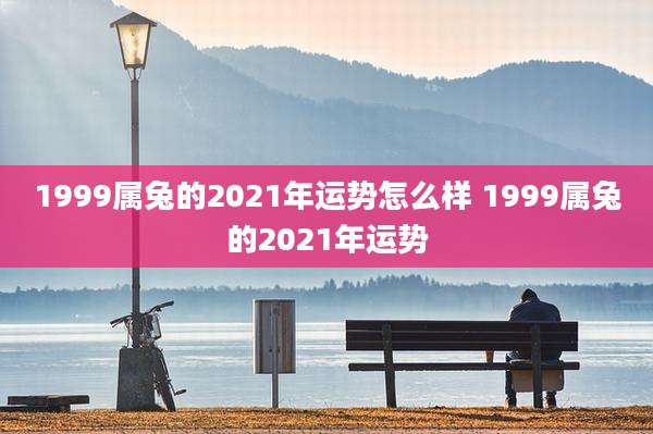 1999属兔的2021年运势怎么样 1999属兔的2021年运势