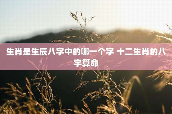 生肖是生辰八字中的哪一个字 十二生肖的八字算命