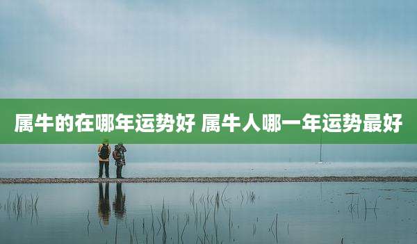 属牛的在哪年运势好 属牛人哪一年运势最好