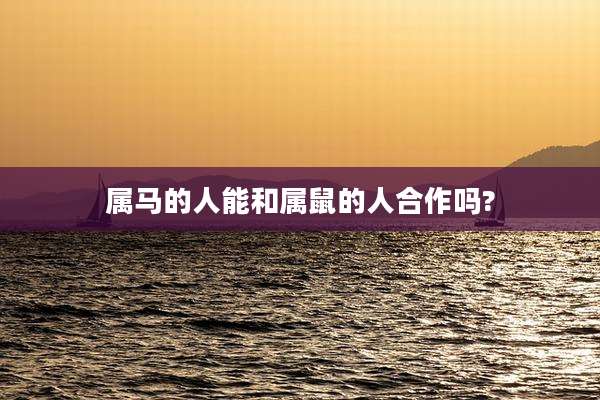 属马的人能和属鼠的人合作吗?