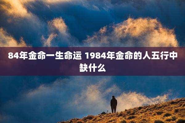 84年金命一生命运 1984年金命的人五行中缺什么