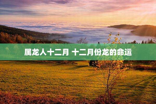 属龙人十二月 十二月份龙的命运