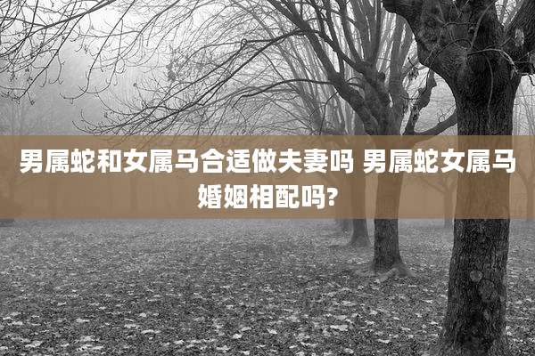 男属蛇和女属马合适做夫妻吗 男属蛇女属马婚姻相配吗?