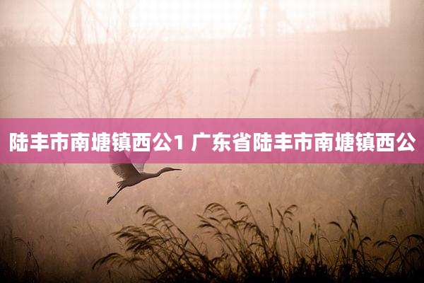 陆丰市南塘镇西公1 广东省陆丰市南塘镇西公