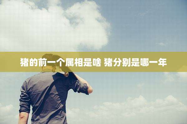 猪的前一个属相是啥 猪分别是哪一年