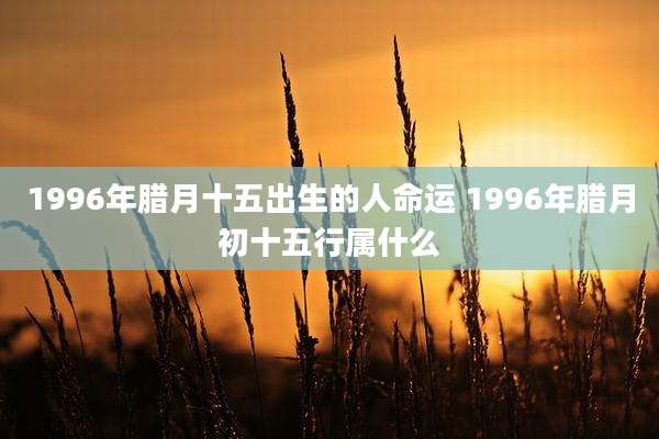1996年腊月十五出生的人命运 1996年腊月初十五行属什么
