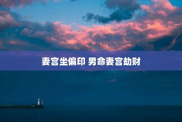 妻宫坐偏印 男命妻宫劫财
