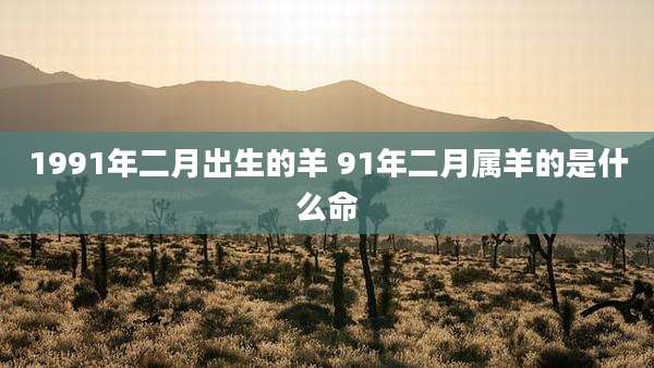 1991年二月出生的羊 91年二月属羊的是什么命