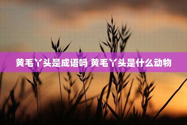 黄毛丫头是成语吗 黄毛丫头是什么动物