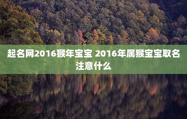 起名网2016猴年宝宝 2016年属猴宝宝取名注意什么