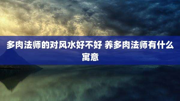 多肉法师的对风水好不好 养多肉法师有什么寓意