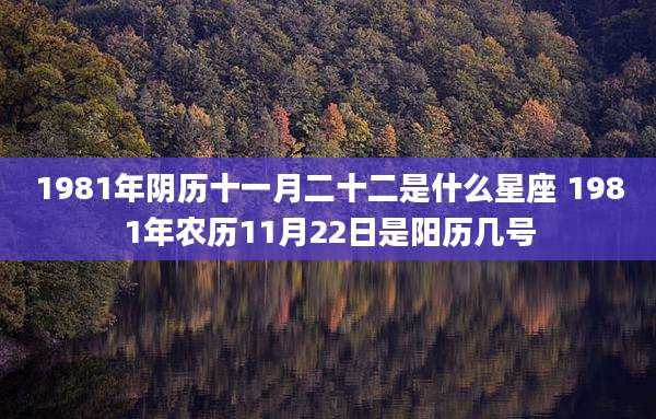 1981年阴历十一月二十二是什么星座 1981年农历11月22日是阳历几号