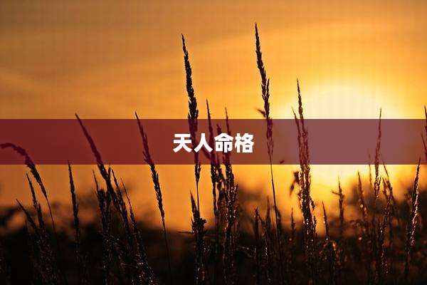 天人命格