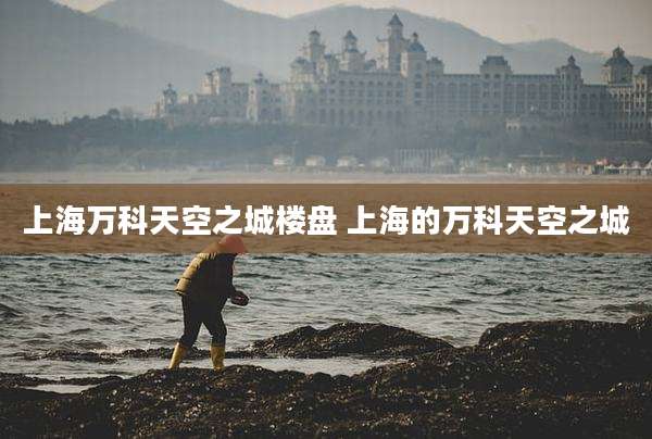 上海万科天空之城楼盘 上海的万科天空之城
