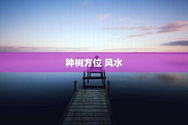 种树方位 风水