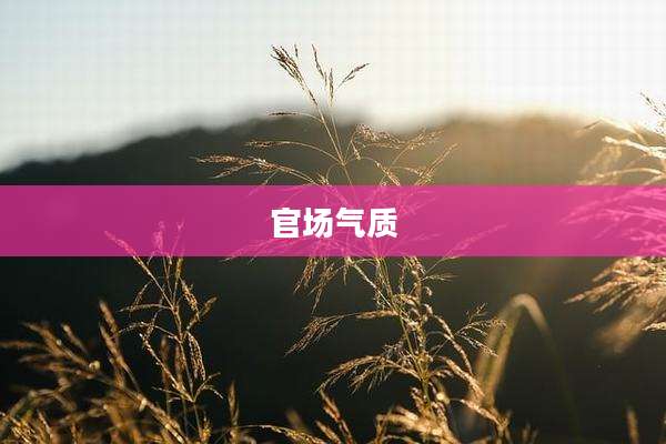 官场气质