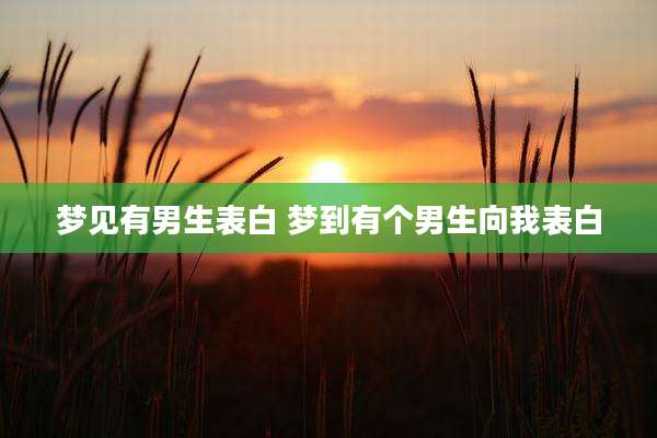 梦见有男生表白 梦到有个男生向我表白