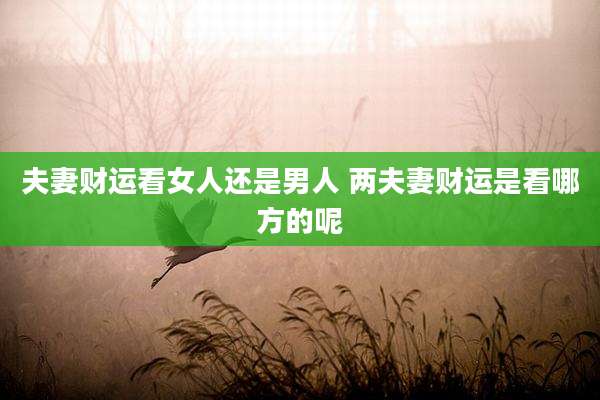 夫妻财运看女人还是男人 两夫妻财运是看哪方的呢