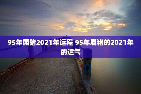 95年属猪2021年运程 95年属猪的2021年的运气
