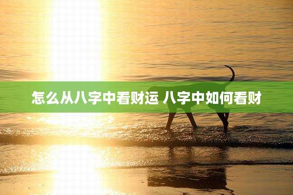 怎么从八字中看财运 八字中如何看财