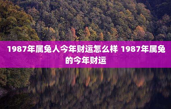 1987年属兔人今年财运怎么样 1987年属兔的今年财运