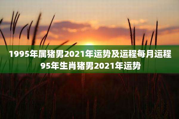 1995年属猪男2021年运势及运程每月运程 95年生肖猪男2021年运势
