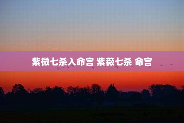 紫微七杀入命宫 紫薇七杀 命宫