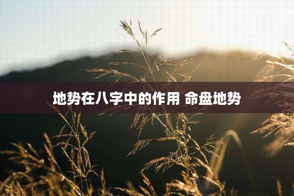 地势在八字中的作用 命盘地势