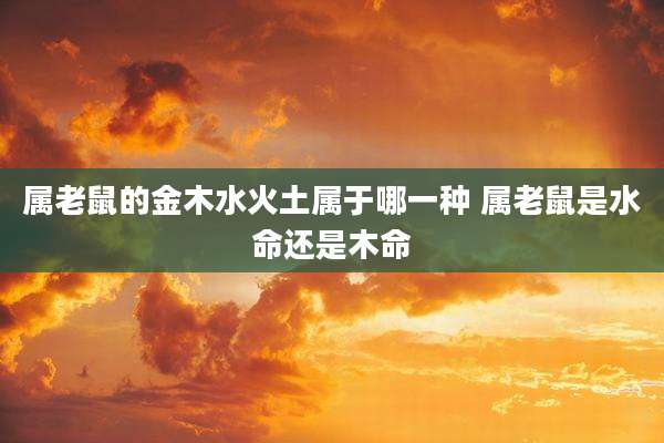 属老鼠的金木水火土属于哪一种 属老鼠是水命还是木命