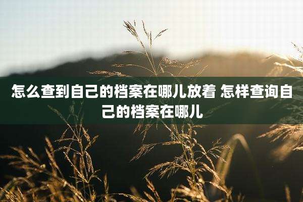 怎么查到自己的档案在哪儿放着 怎样查询自己的档案在哪儿