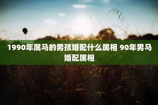 1990年属马的男孩婚配什么属相 90年男马婚配属相