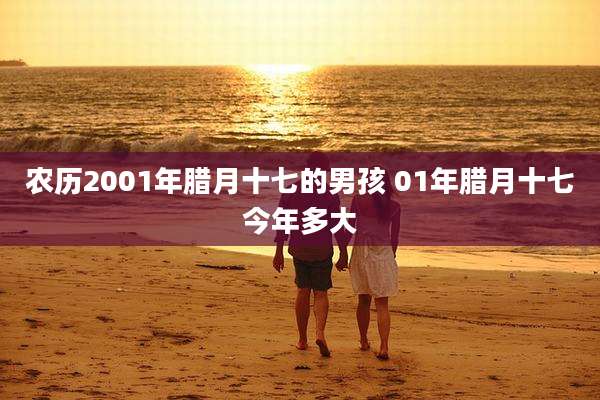 农历2001年腊月十七的男孩 01年腊月十七今年多大