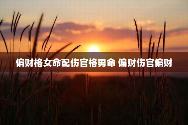 偏财格女命配伤官格男命 偏财伤官偏财