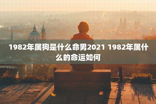 1982年属狗是什么命男2021 1982年属什么的命运如何
