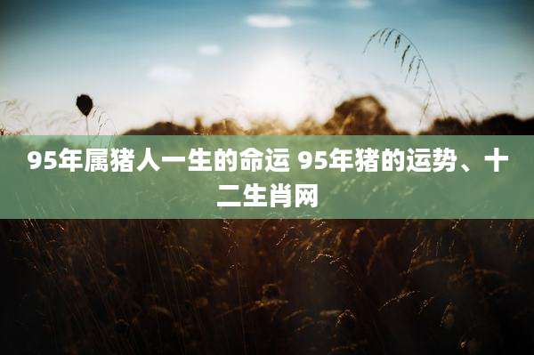 95年属猪人一生的命运 95年猪的运势、十二生肖网