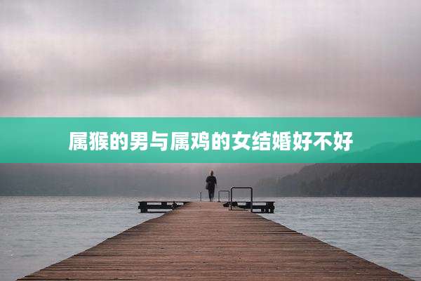 属猴的男与属鸡的女结婚好不好