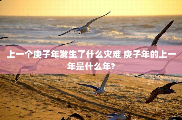 上一个庚子年发生了什么灾难 庚子年的上一年是什么年?